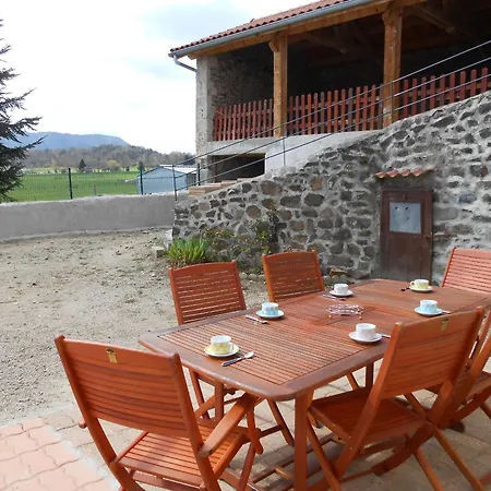 Ferme Du Xixe Siecle Avec Cour Fermee Et Terrasse, Proche Des Gorges De La Loire Et Du Puy-en-velay - Fr-1-582-187 *