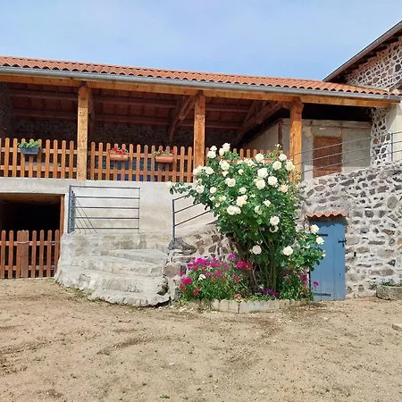 Ferme Du Xixe Siecle Avec Cour Fermee Et Terrasse, Proche Des Gorges De La Loire Et Du Puy-en-velay - Fr-1-582-187 * Saint-Vincent (Haute-Loire)
